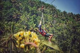 Flying Fox